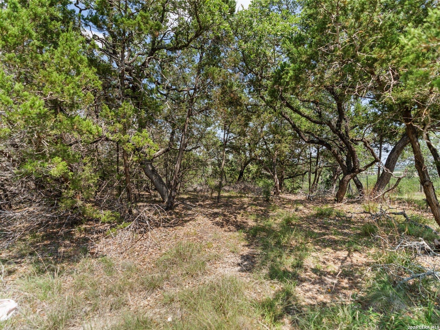 4.48 acres in Comal County - photo 6