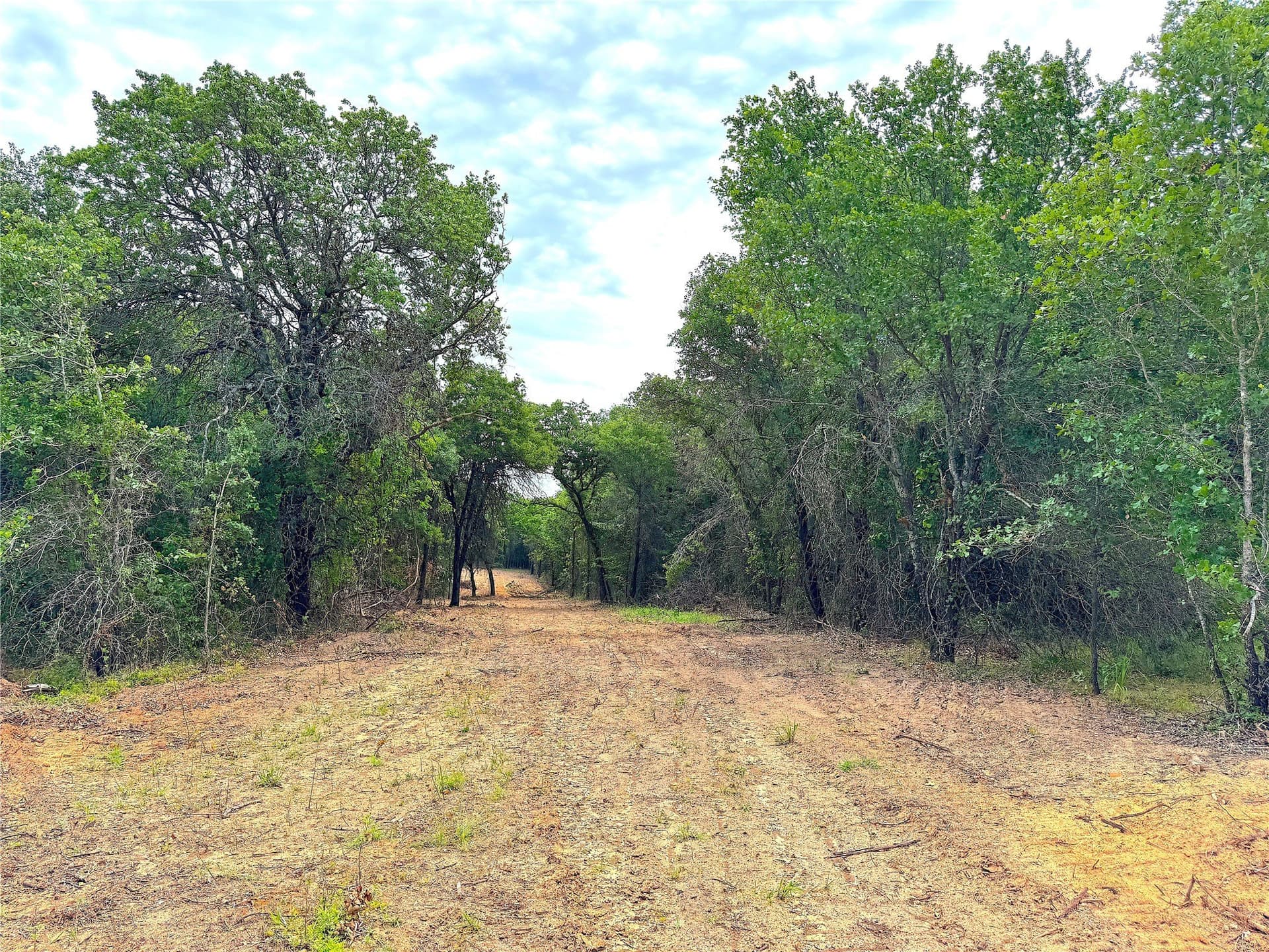 55 acres in Parker County - photo 4