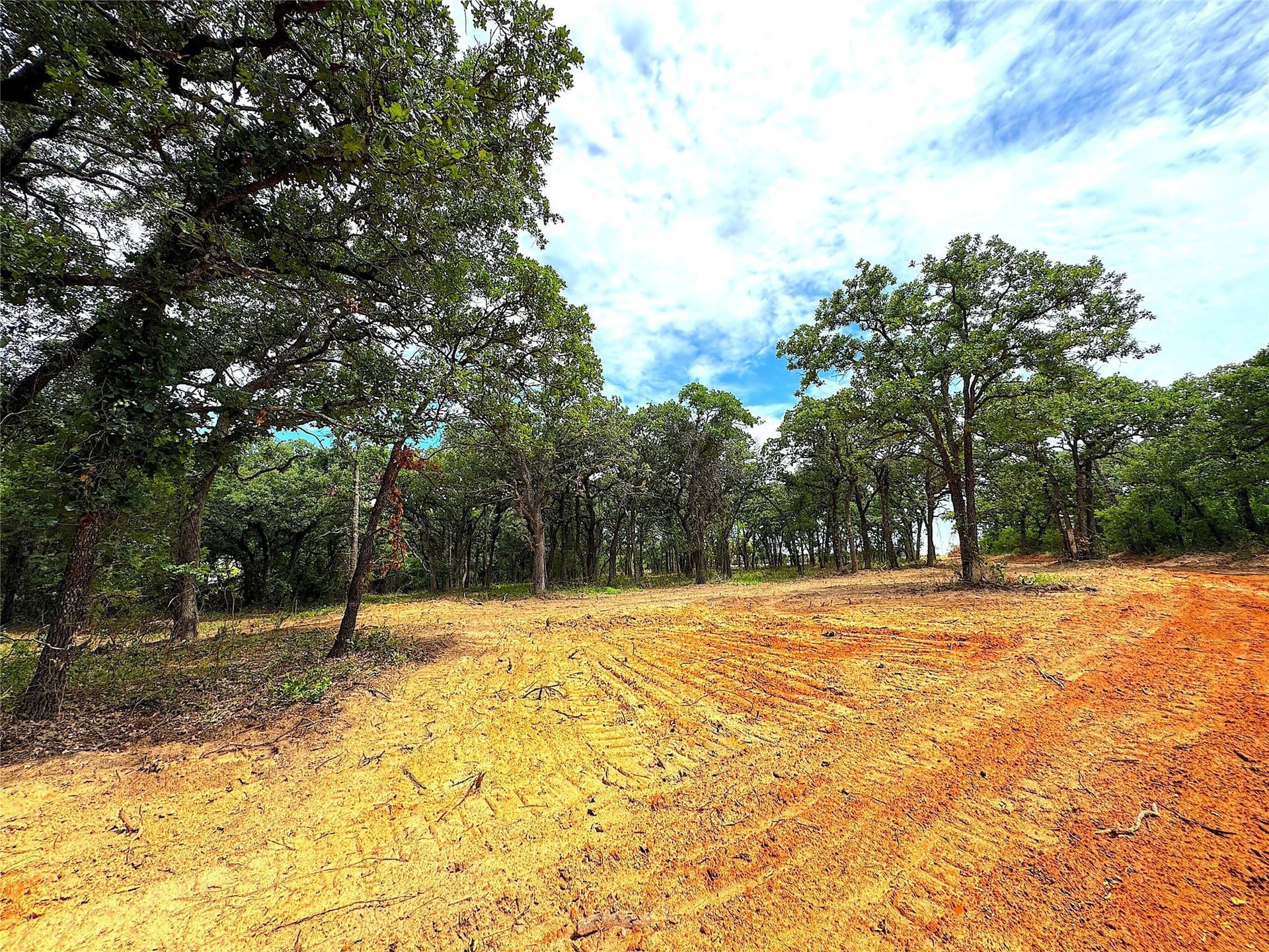 55 acres in Parker County - photo 8