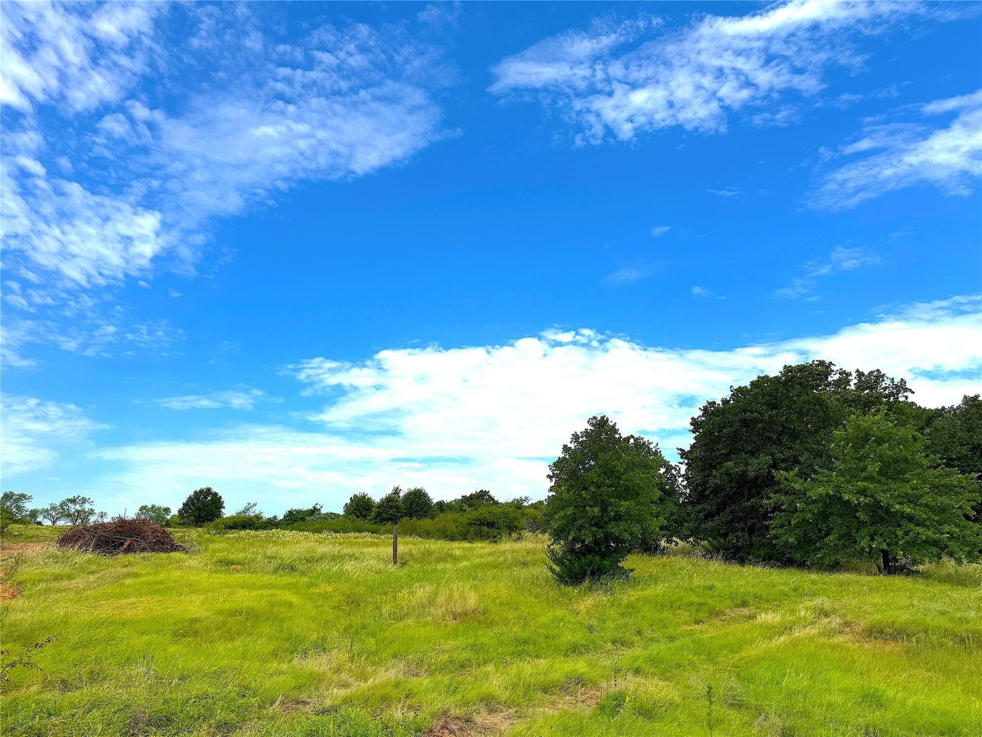55 acres in Parker County - photo 3