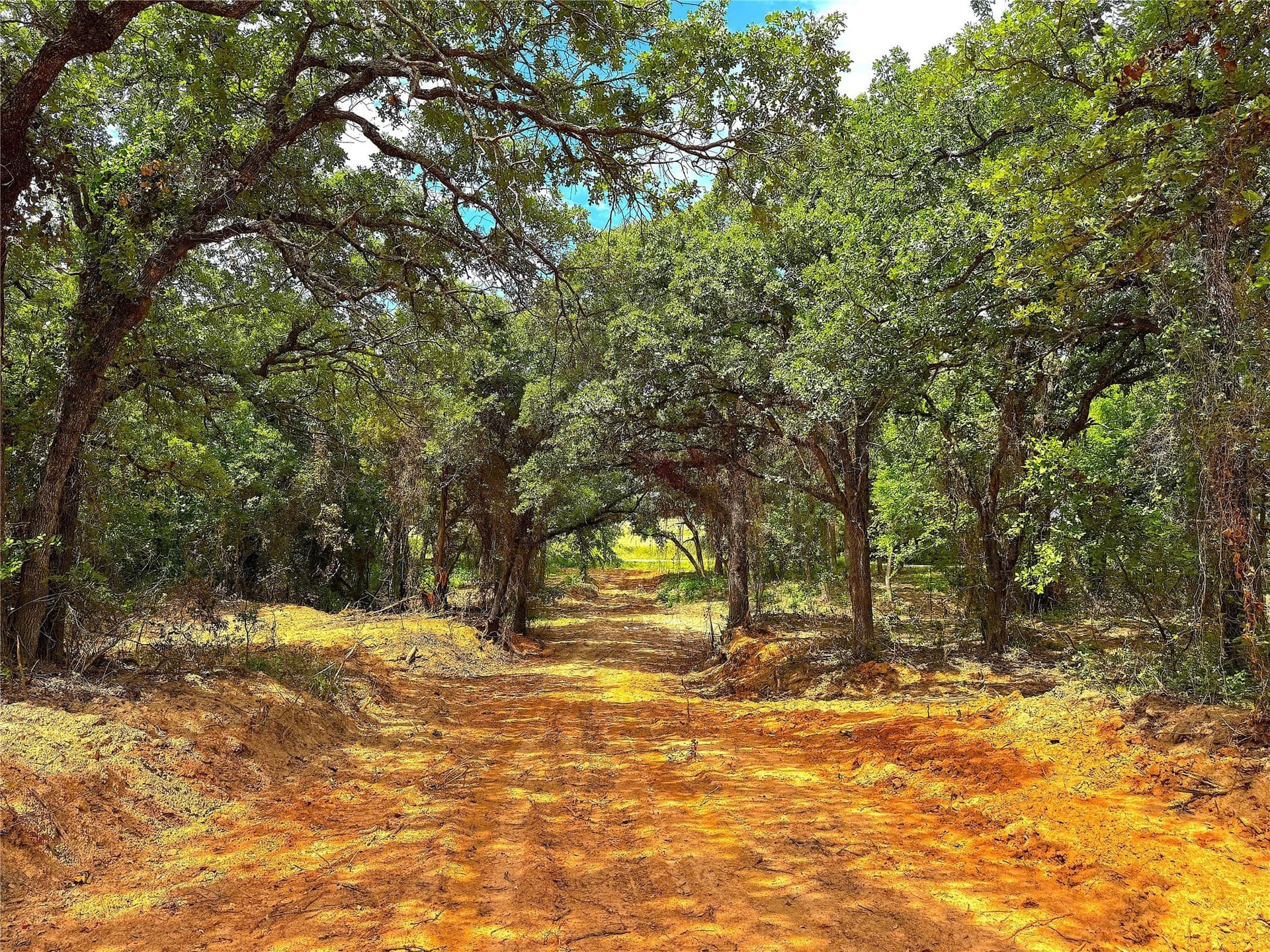 55 acres in Parker County - photo 10