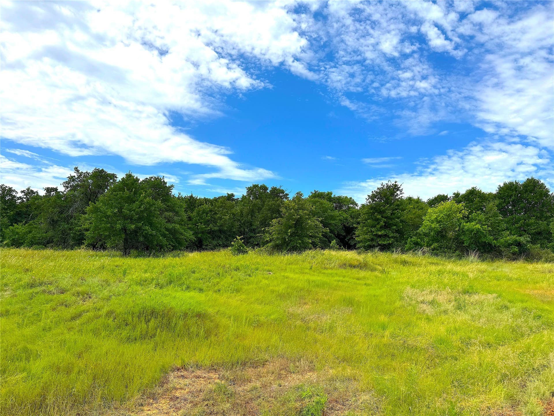 55 acres in Parker County - photo 9