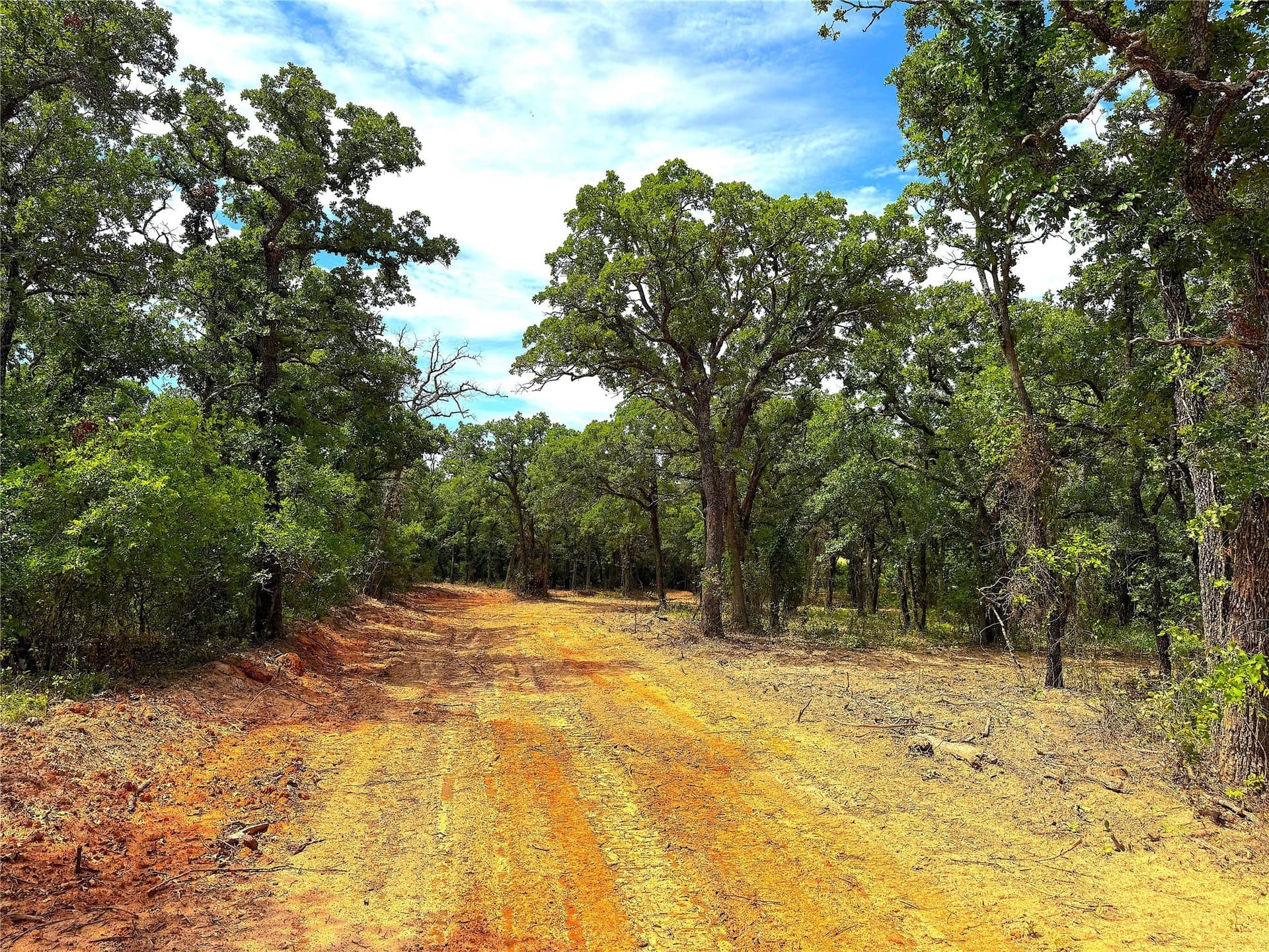 55 acres in Parker County - photo 19