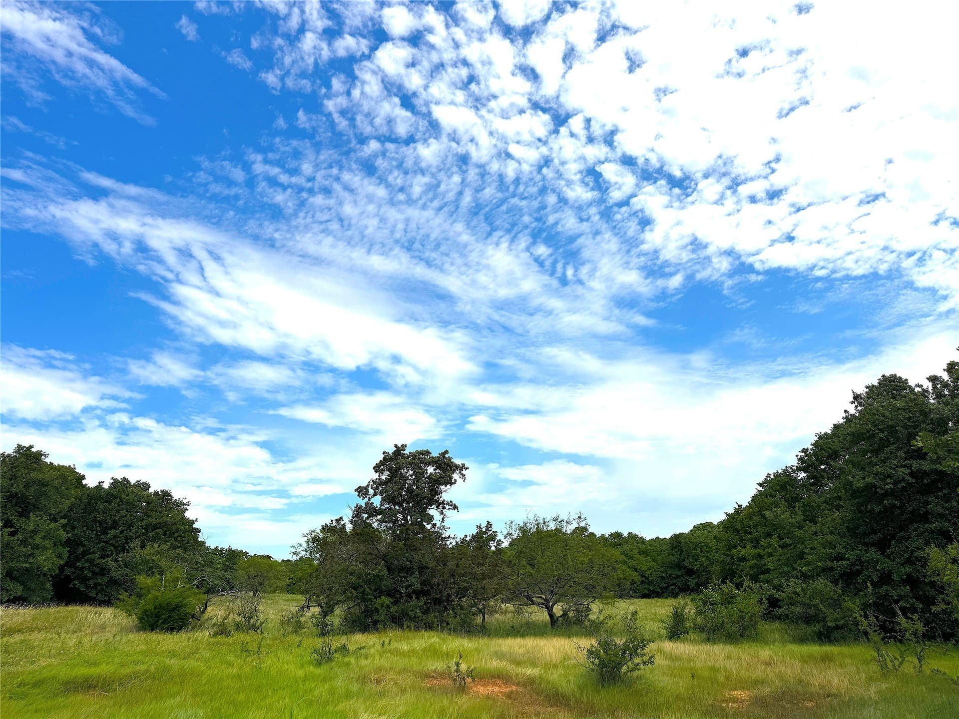 55 acres in Parker County - photo 13