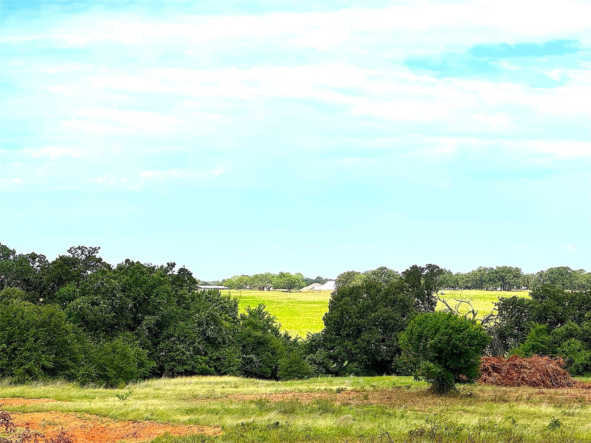 55 acres in Parker County - photo 25