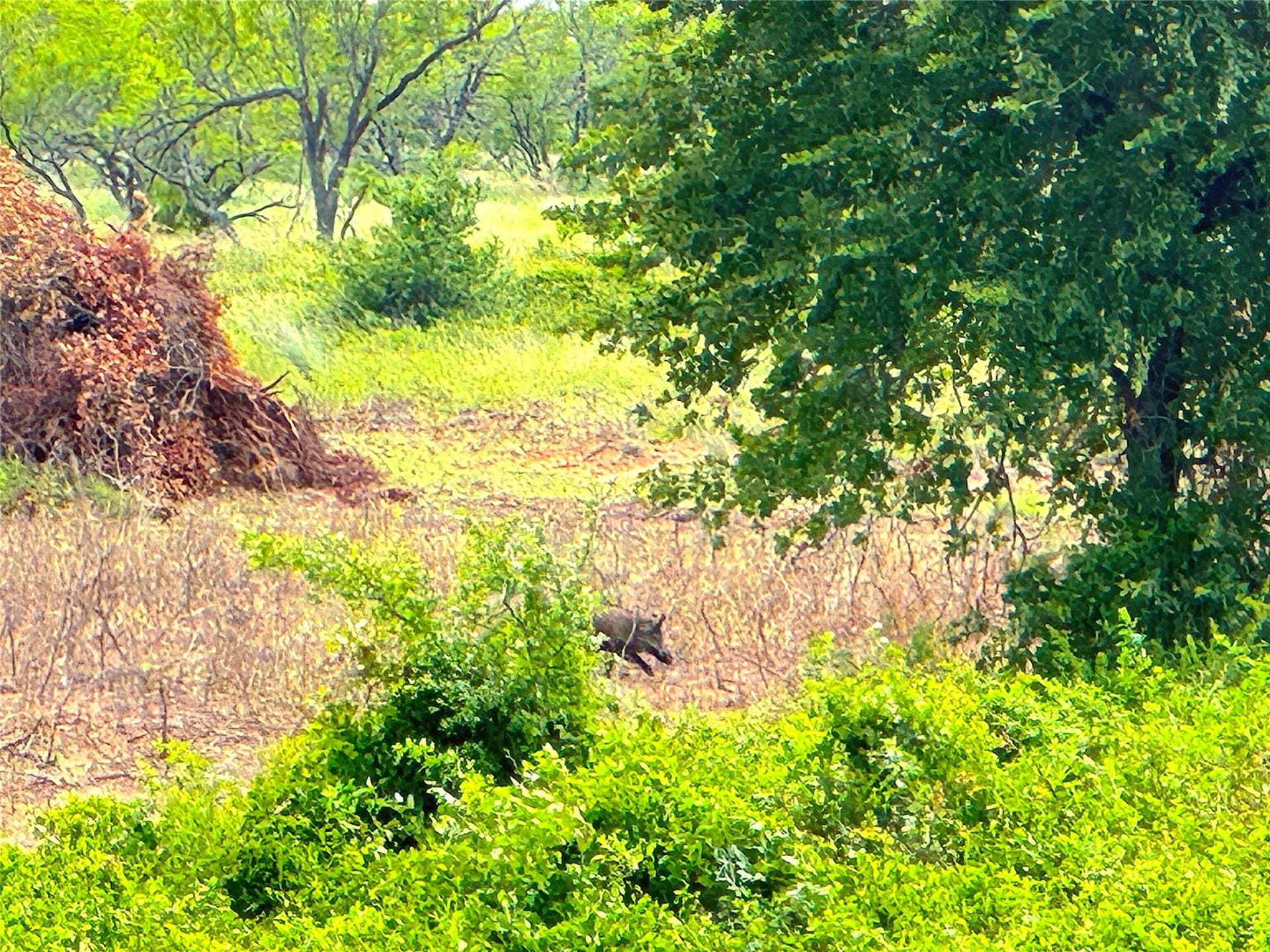 55 acres in Parker County - photo 22