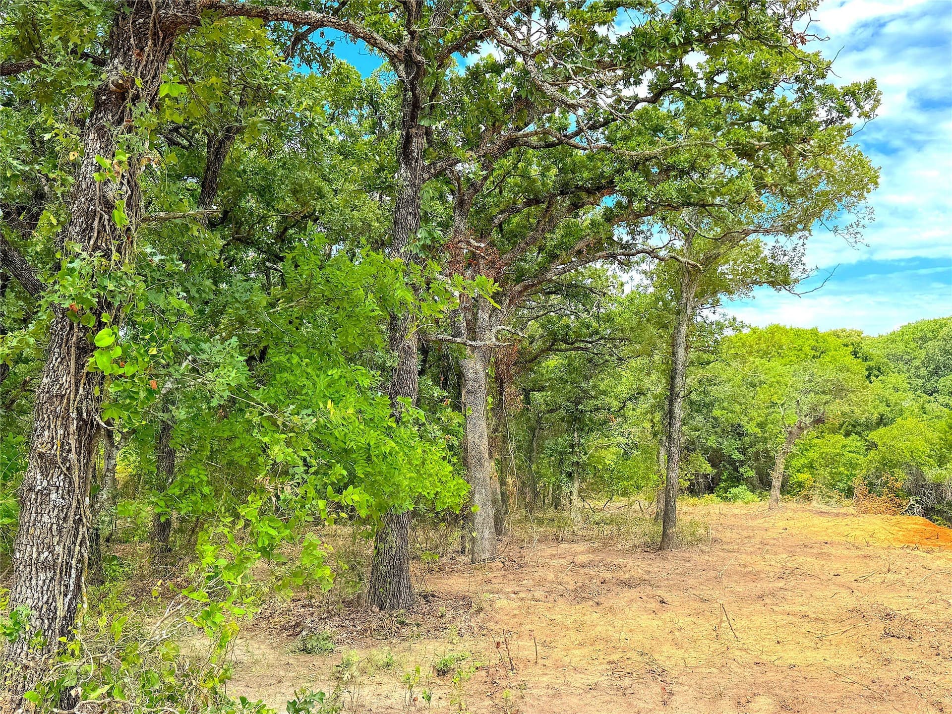 55 acres in Parker County - photo 17