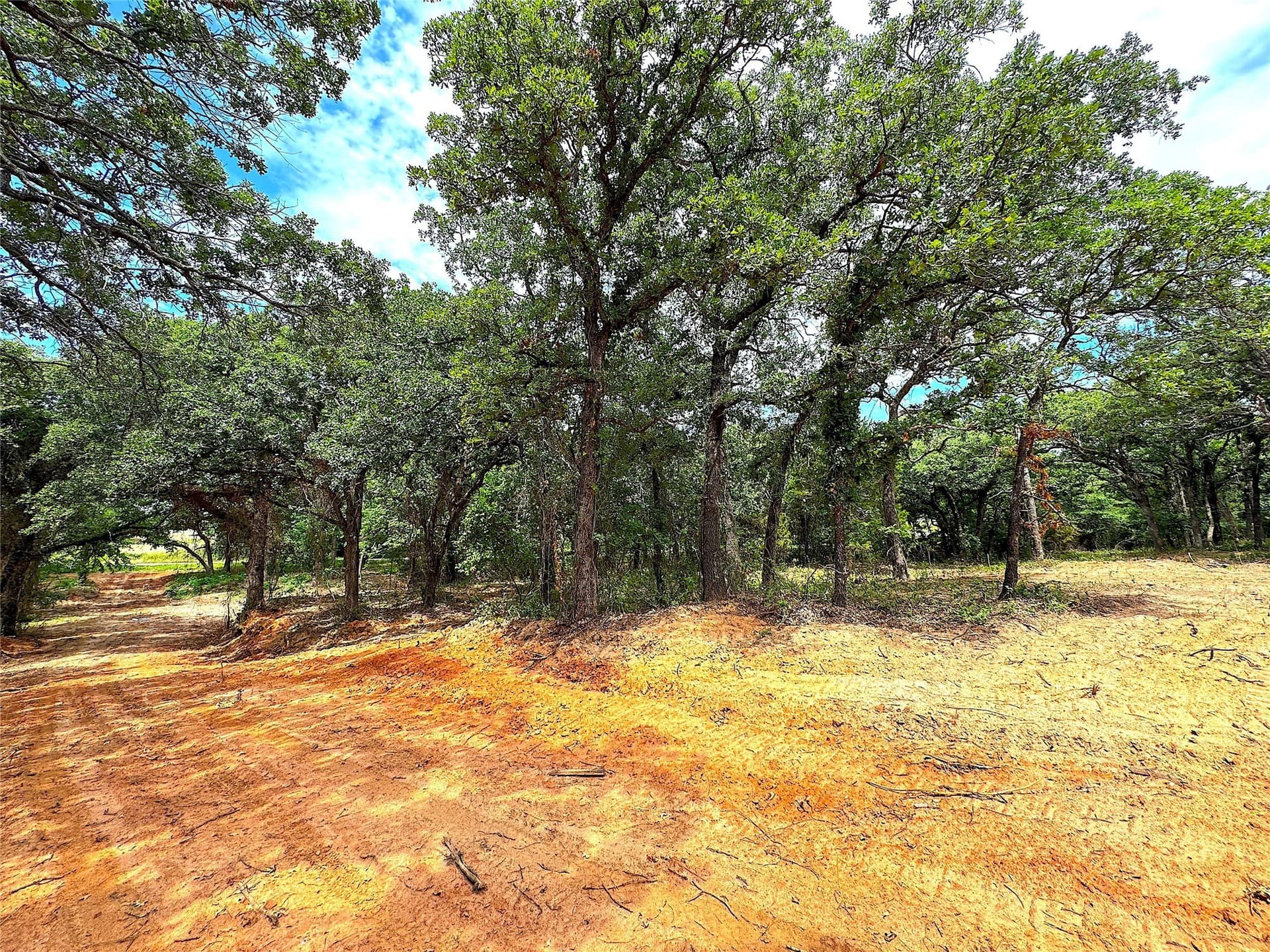55 acres in Parker County - photo 14