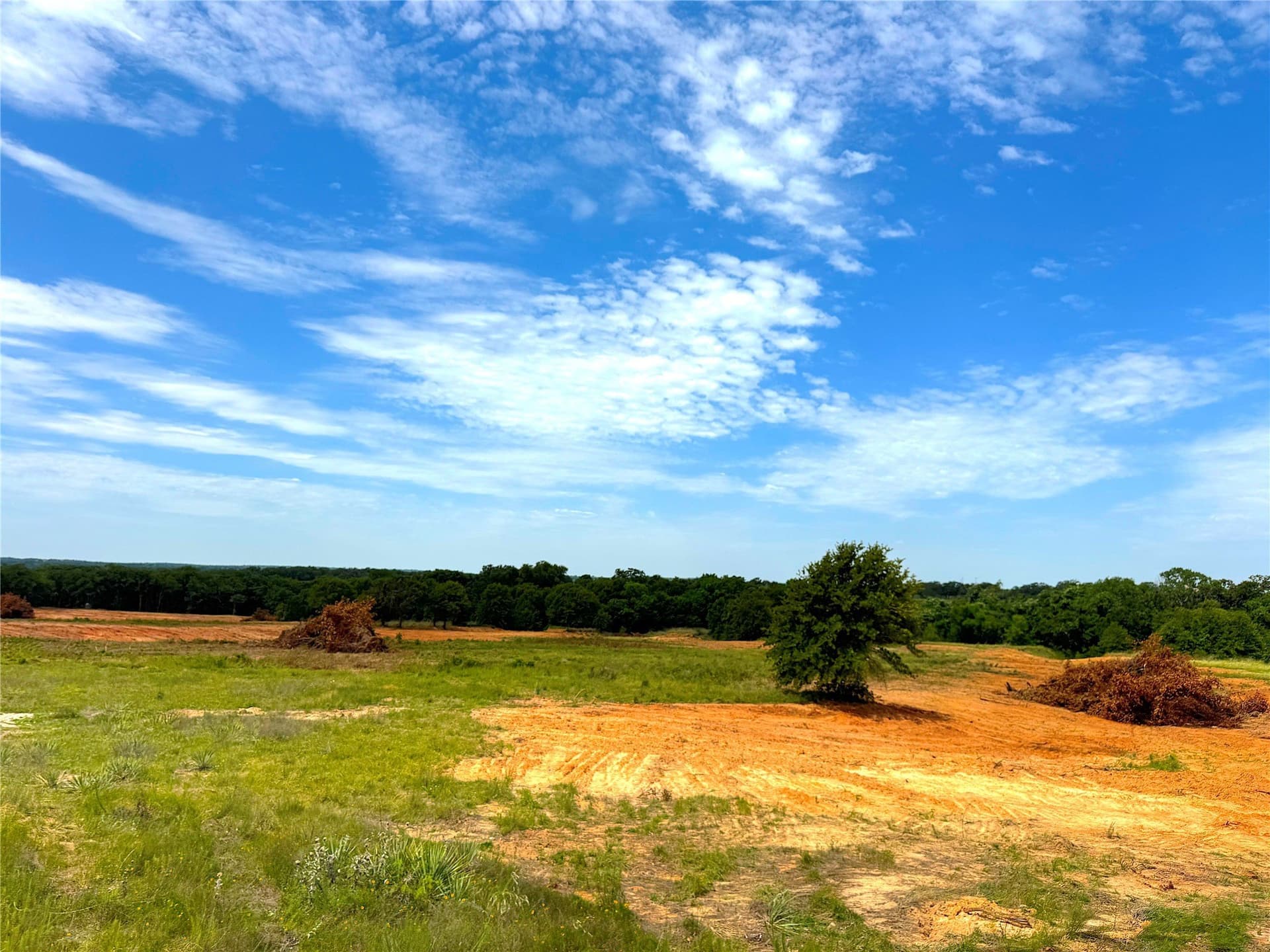 55 acres in Parker County - photo 16