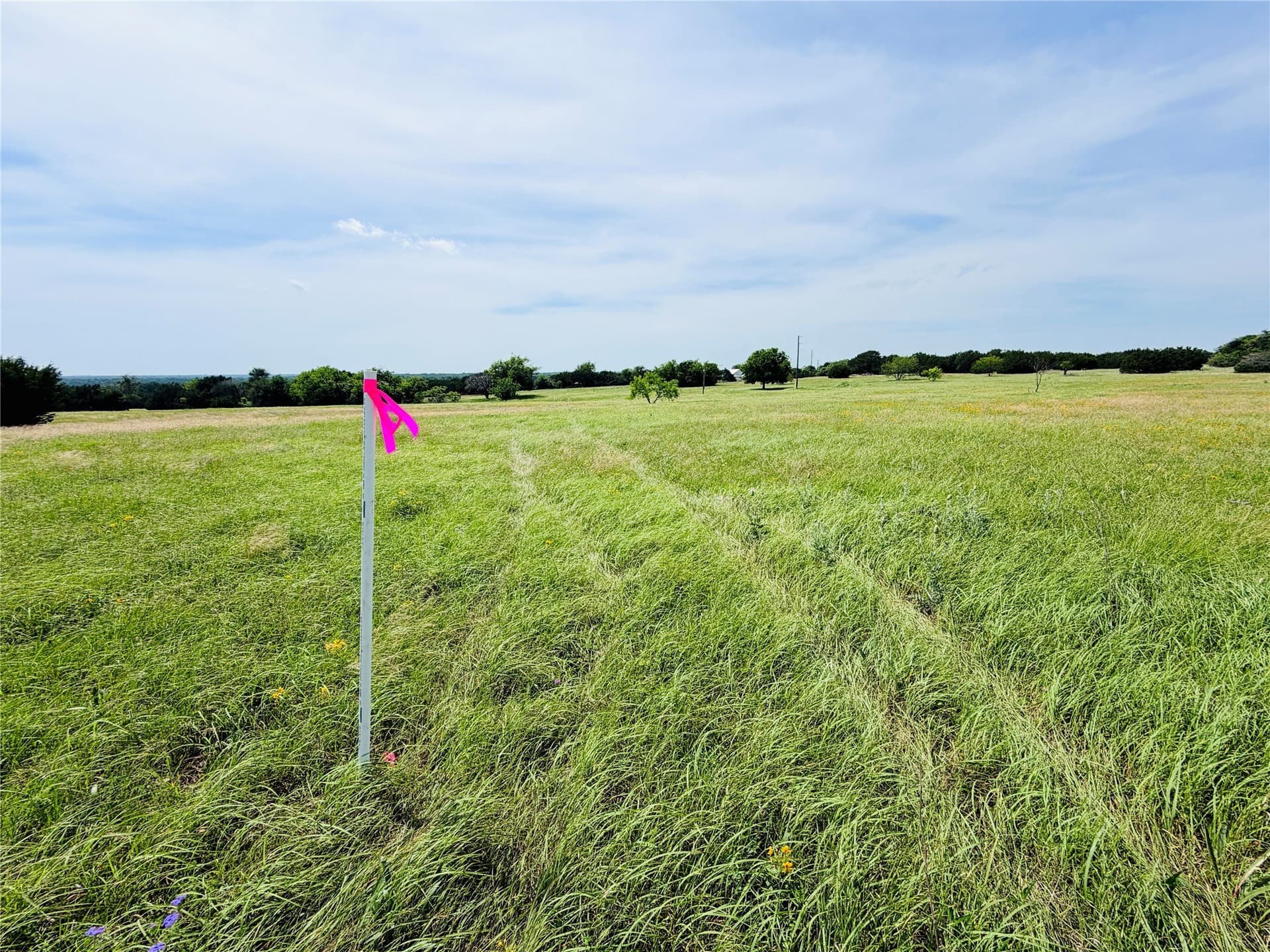 20.36 acres in Coryell County - photo 5