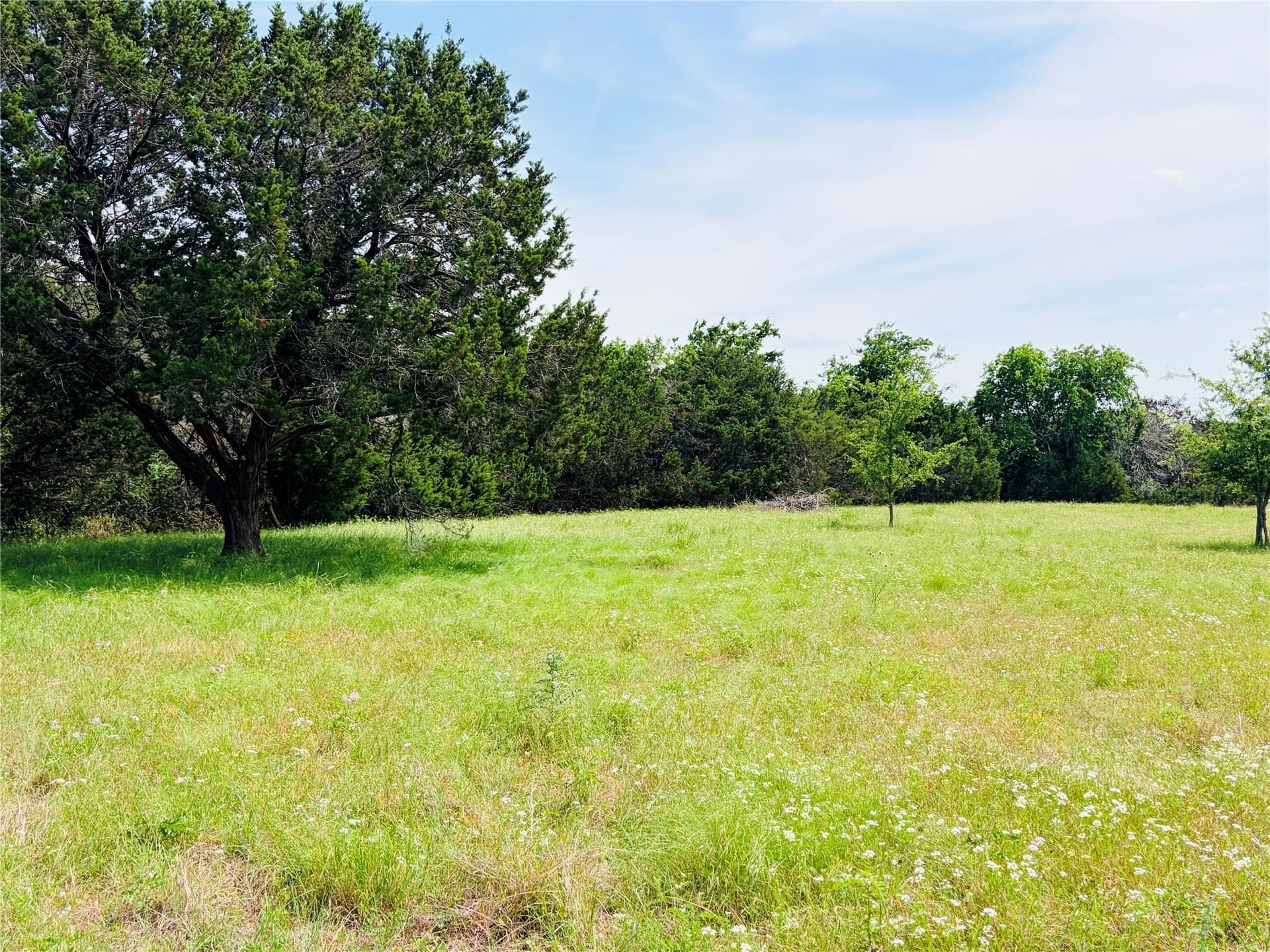 20.36 acres in Coryell County - photo 10