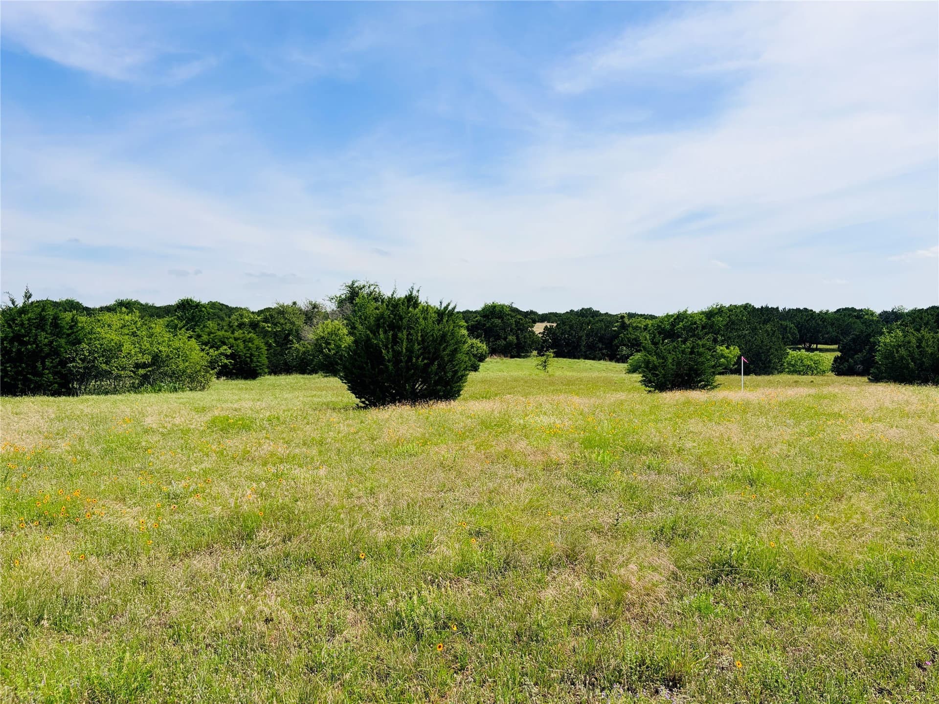 20.36 acres in Coryell County - photo 7