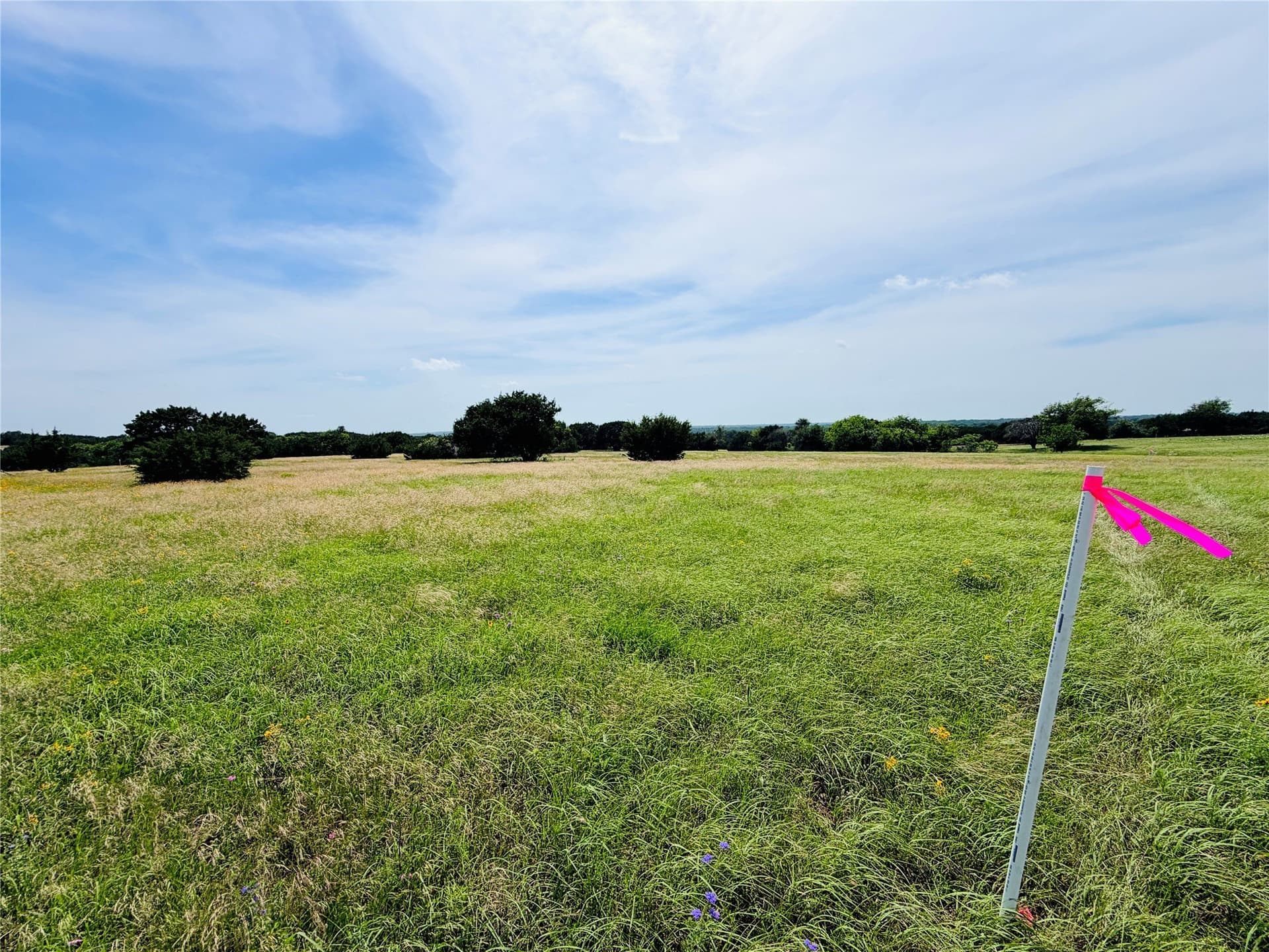 20.36 acres in Coryell County - photo 6