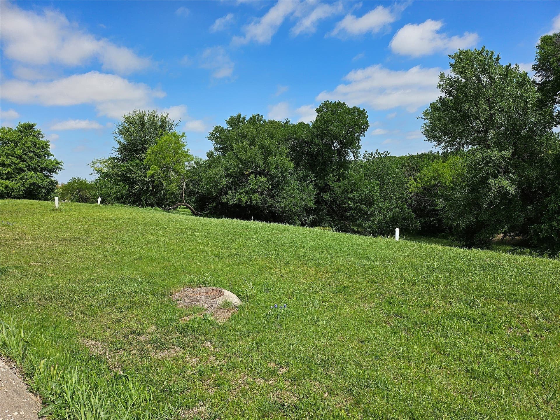 1.32 acres in Dallas County gallery image 3