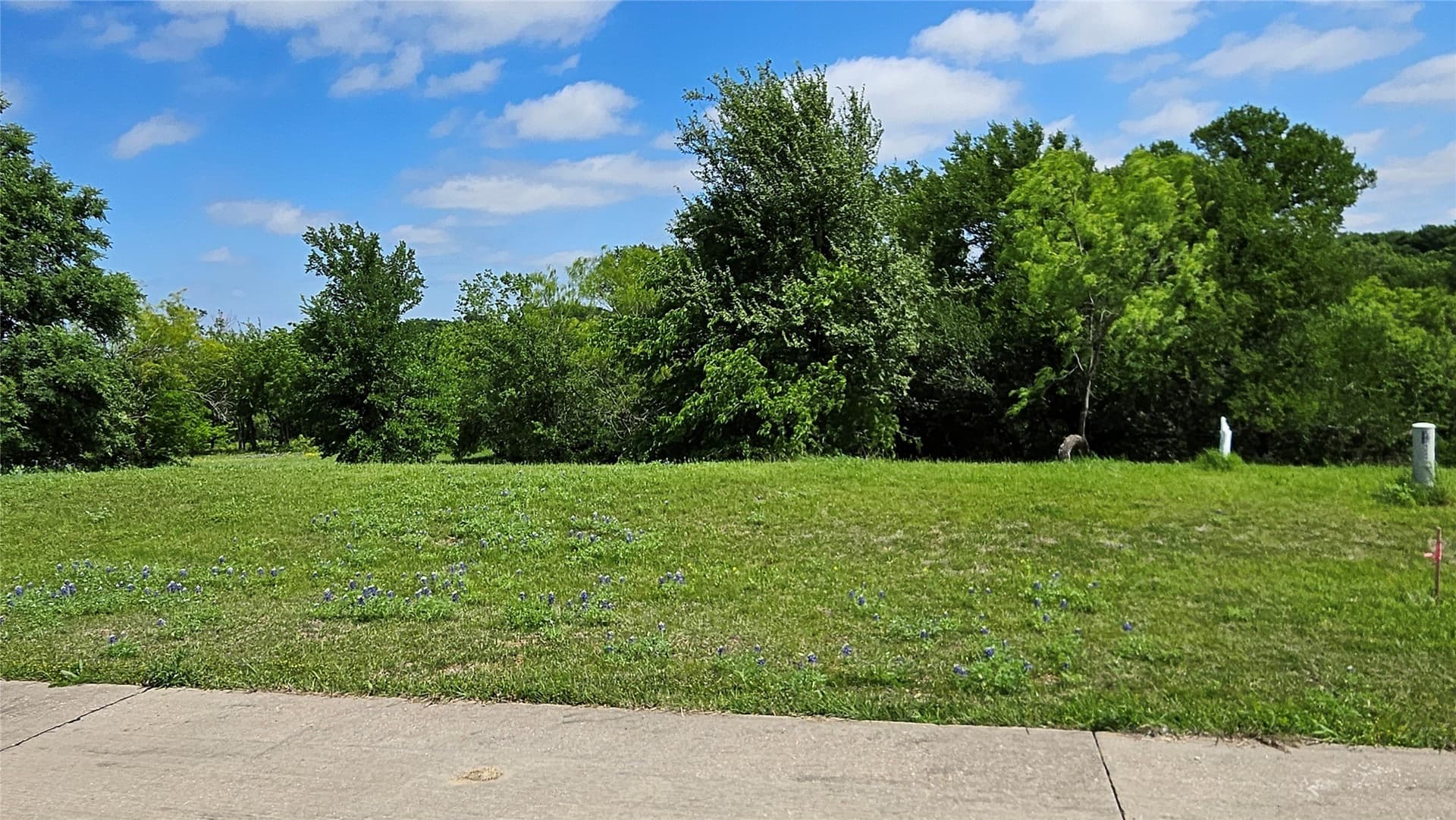 1.32 acres in Dallas County - photo 6