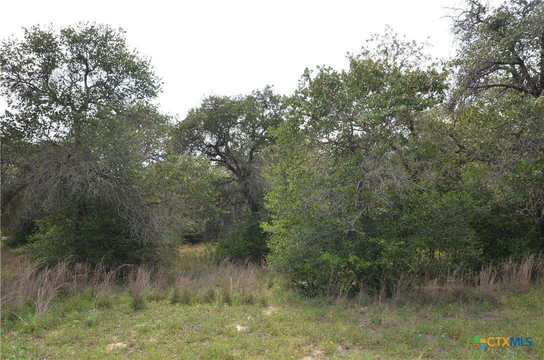 3.76 acres in Gonzales County - photo 12