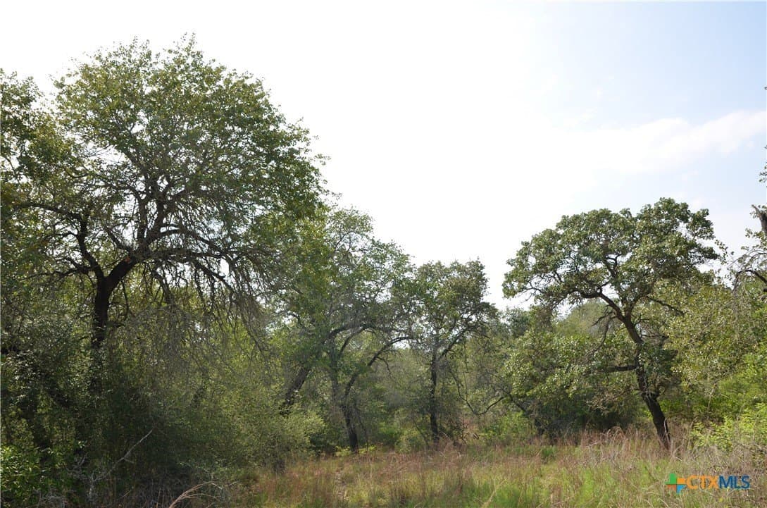 3.76 acres in Gonzales County gallery image 4