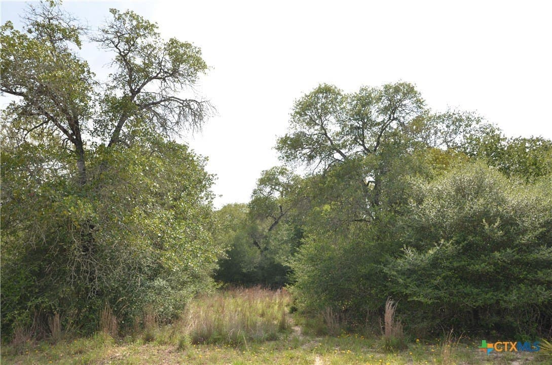 3.76 acres in Gonzales County - photo 11