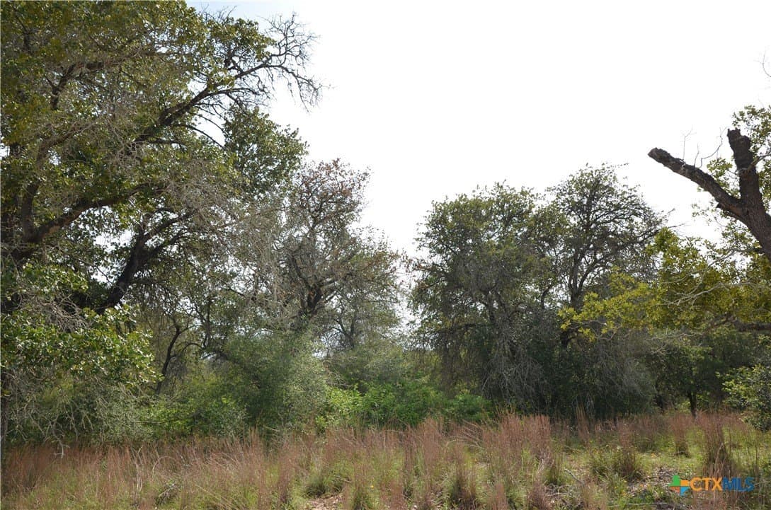 3.76 acres in Gonzales County - photo 7