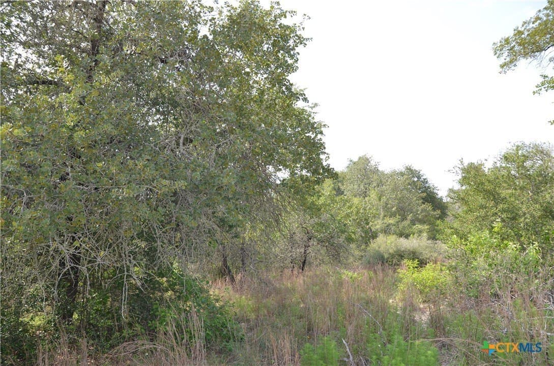 3.76 acres in Gonzales County featured view