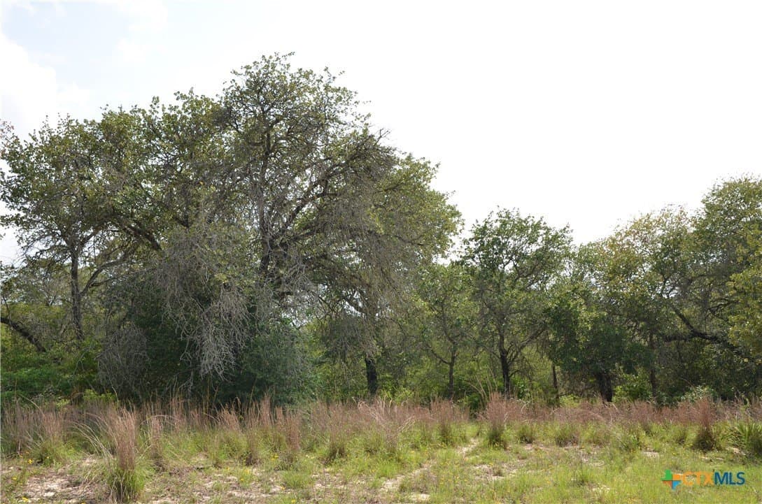 3.76 acres in Gonzales County - photo 6