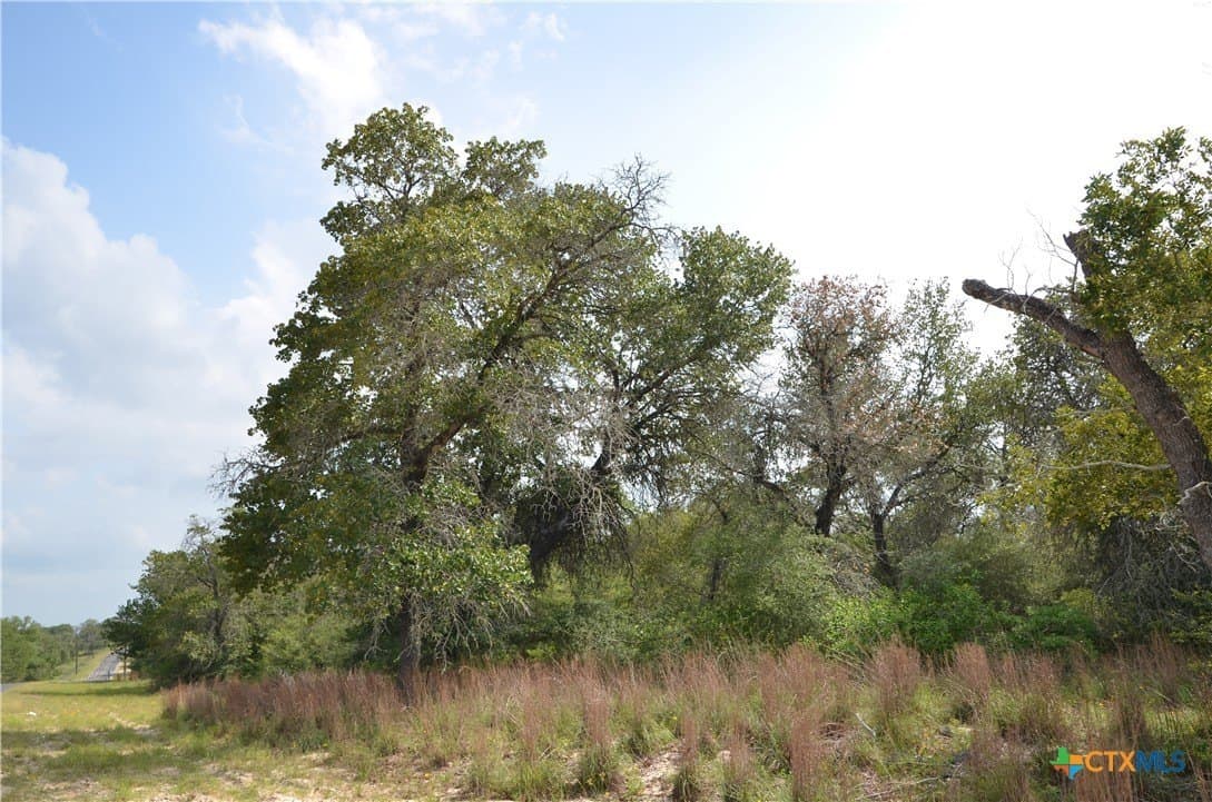 3.76 acres in Gonzales County - photo 8