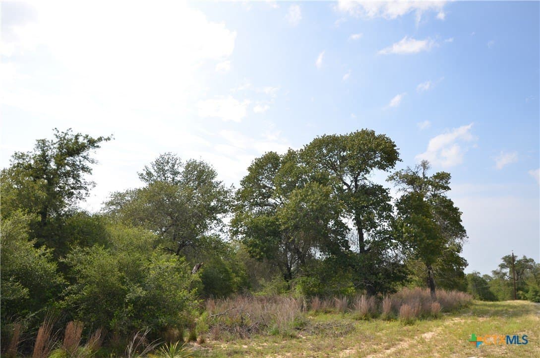 3.76 acres in Gonzales County - photo 9