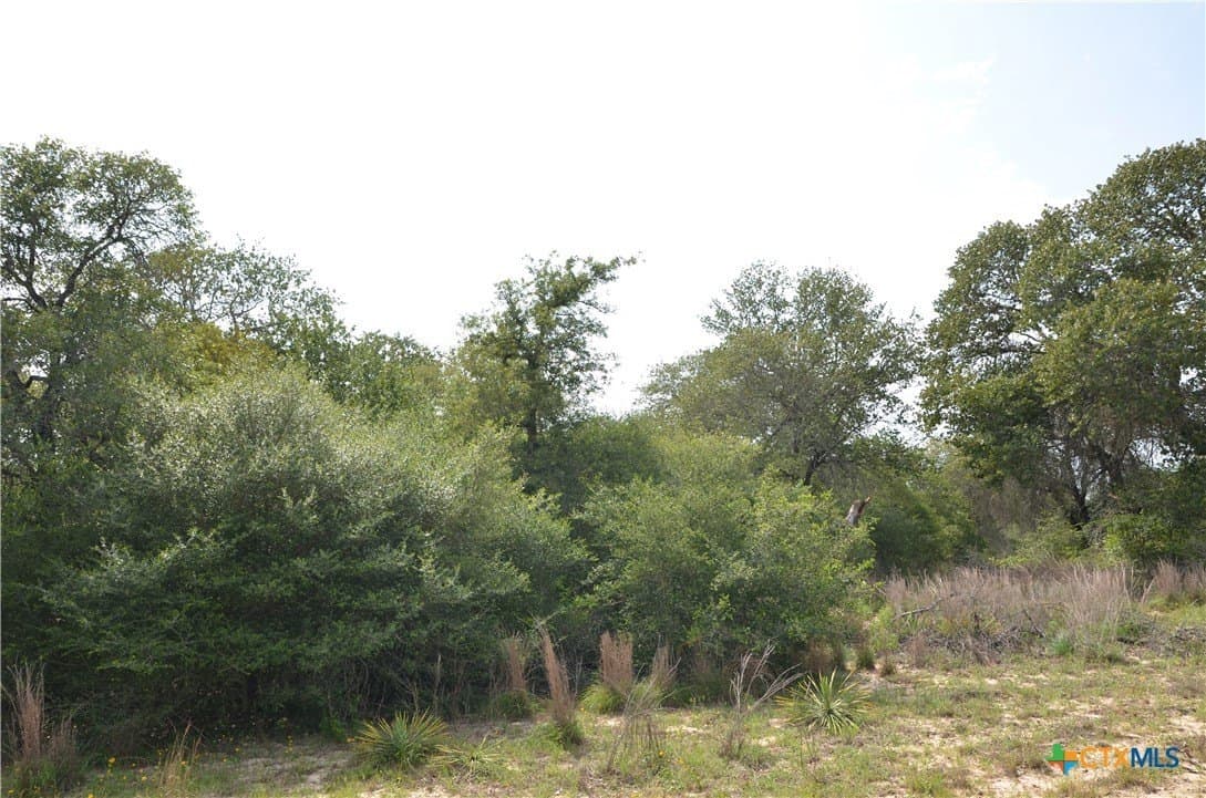 3.76 acres in Gonzales County - photo 10