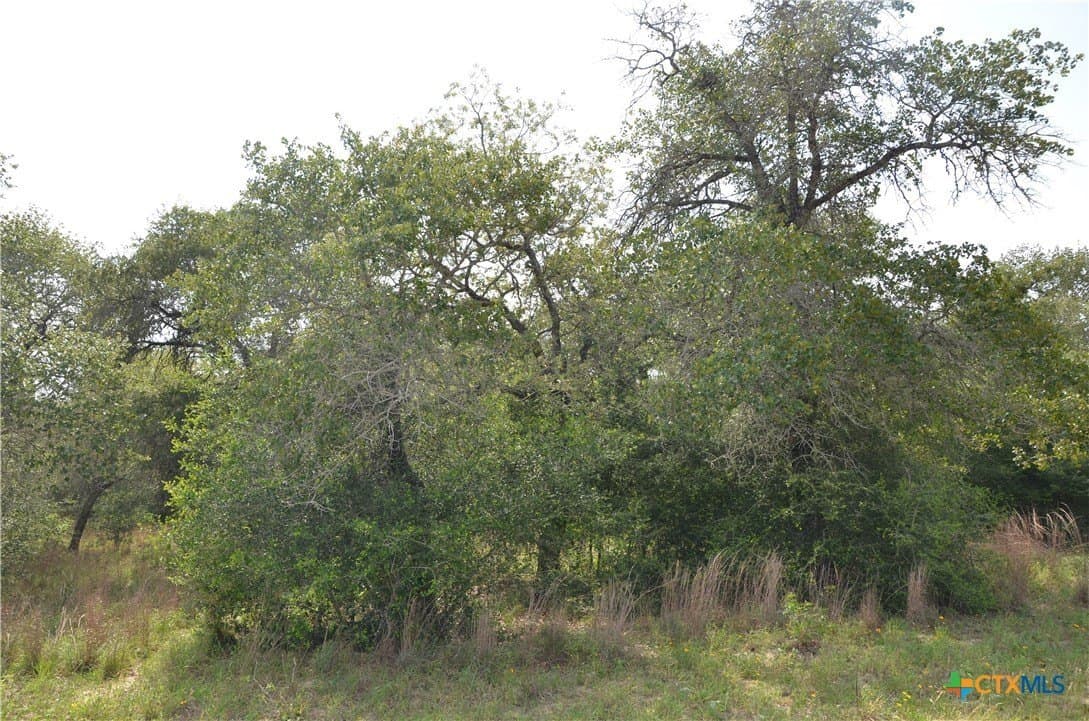 3.76 acres in Gonzales County - photo 13