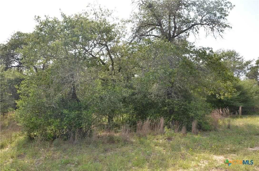 3.76 acres in Gonzales County - photo 14