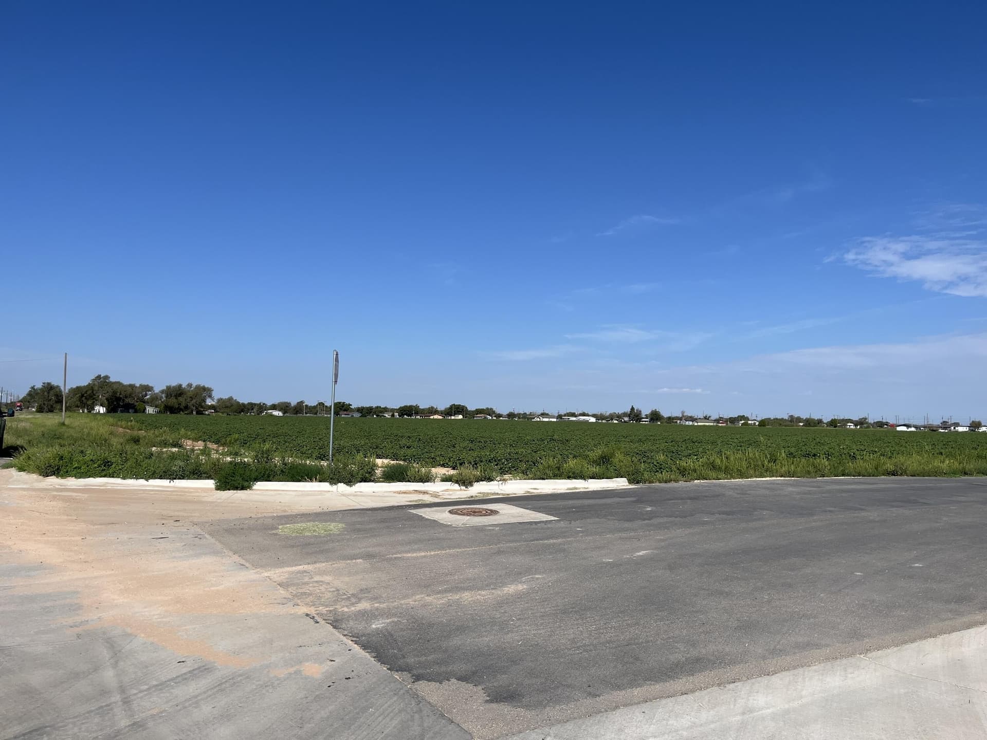 36.56 acres in Lubbock County gallery image 2