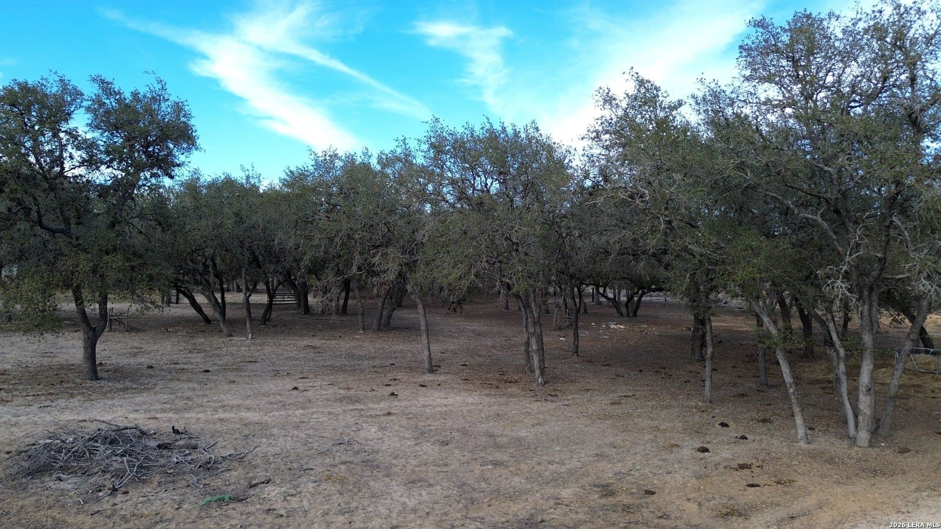 10 acres in Atascosa County - photo 7