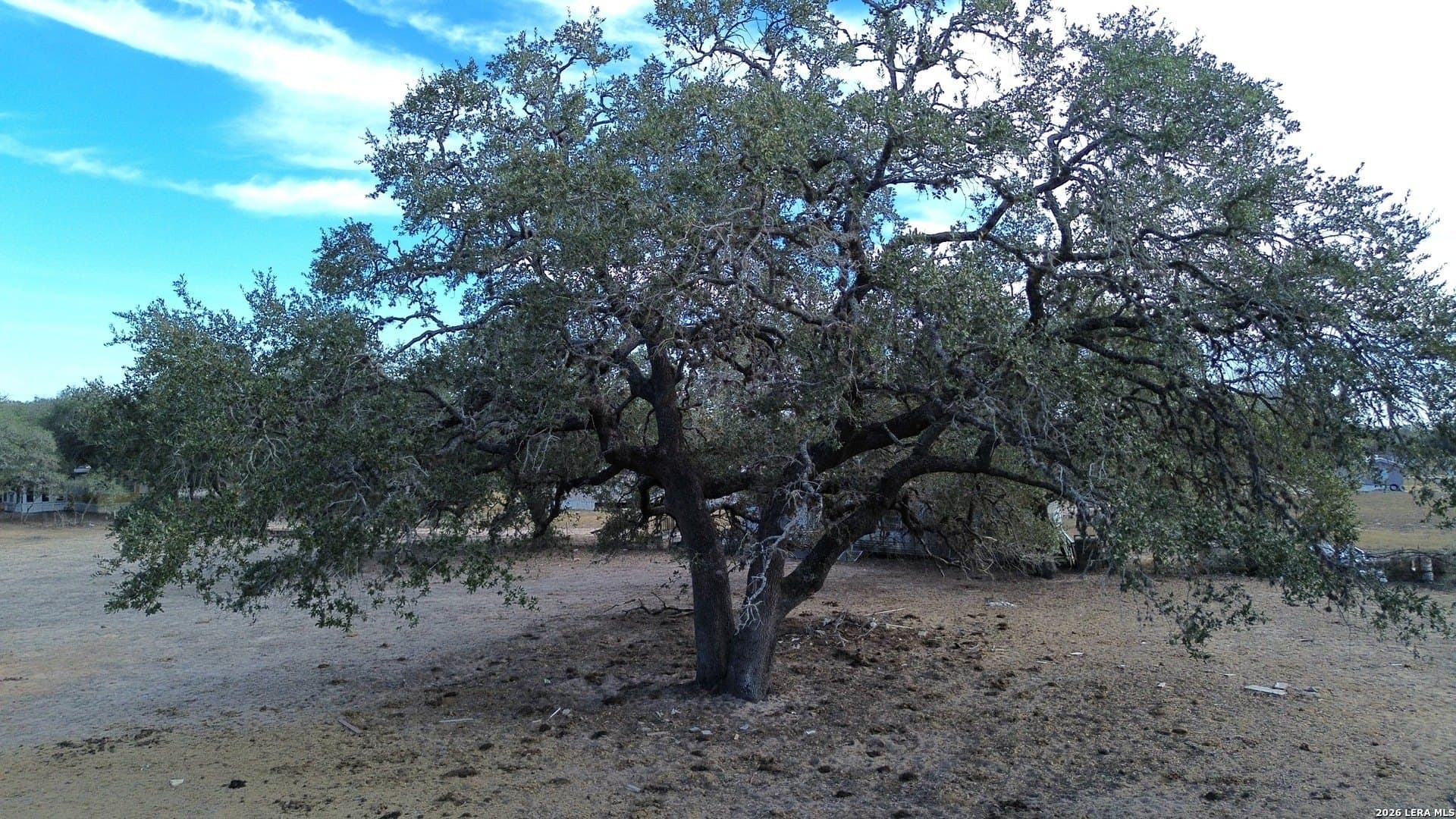 10 acres in Atascosa County - photo 6