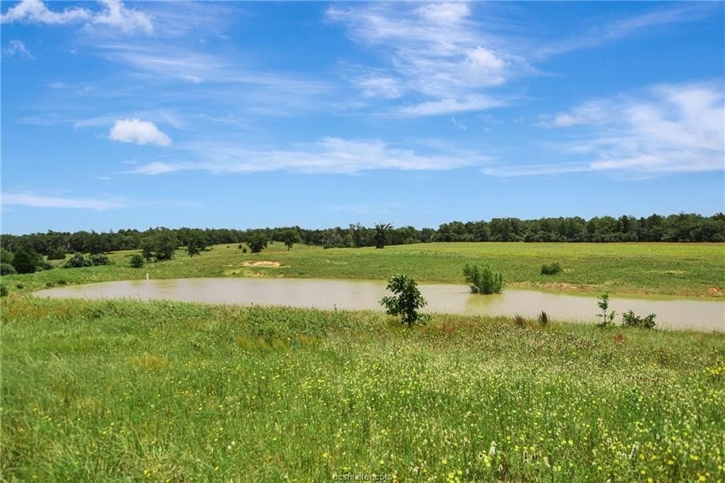 55 acres in Milam County - photo 37