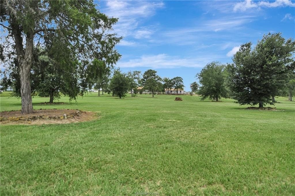 55 acres in Milam County - photo 49