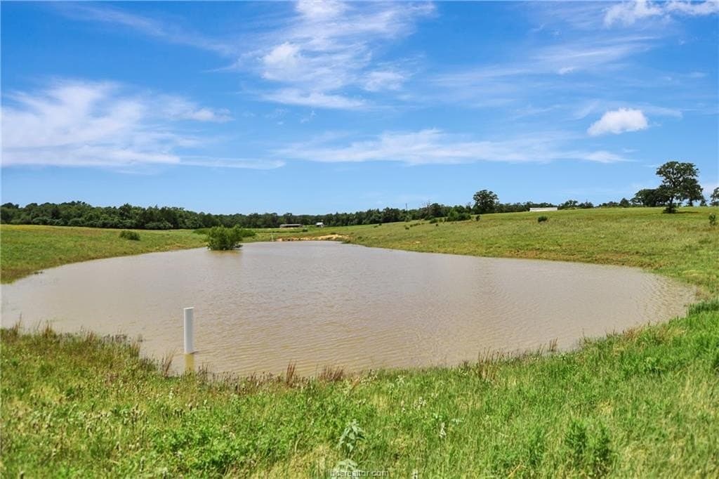 55 acres in Milam County - photo 36