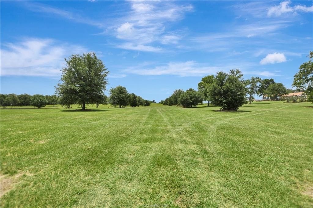 55 acres in Milam County - photo 42