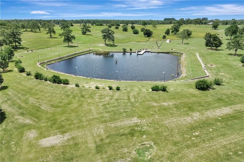 55 acres in Milam County - photo 29
