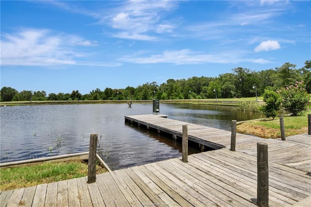 55 acres in Milam County - photo 44
