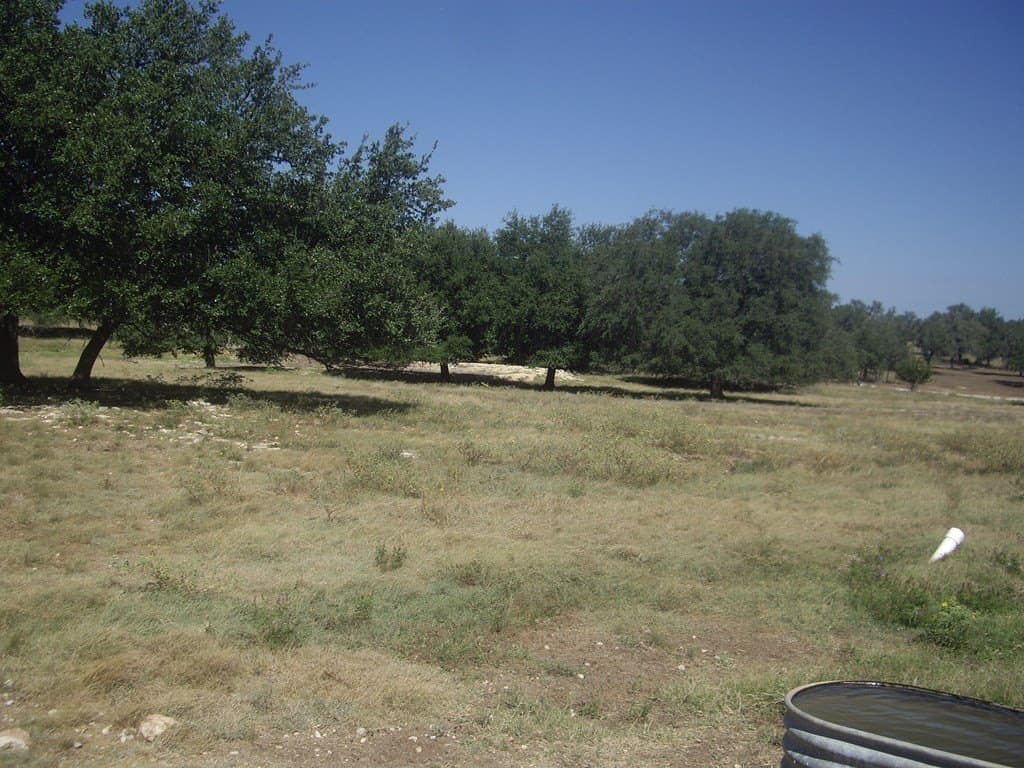 43.13 acres in Blanco County - photo 22