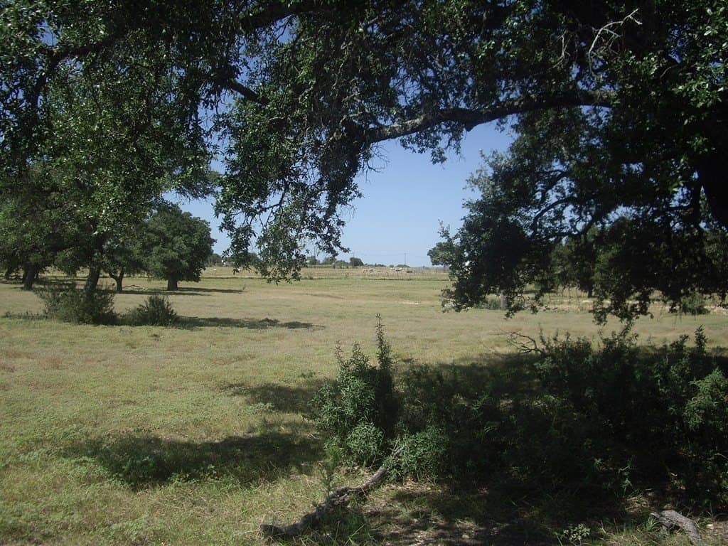 43.13 acres in Blanco County - photo 6