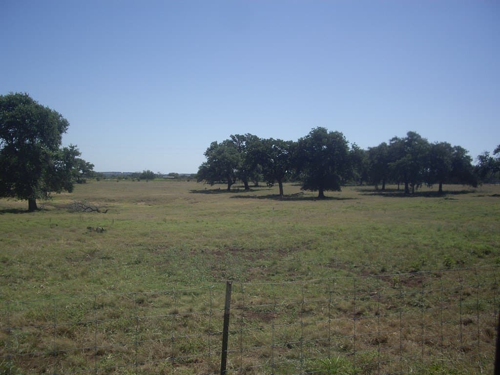 43.13 acres in Blanco County - photo 24