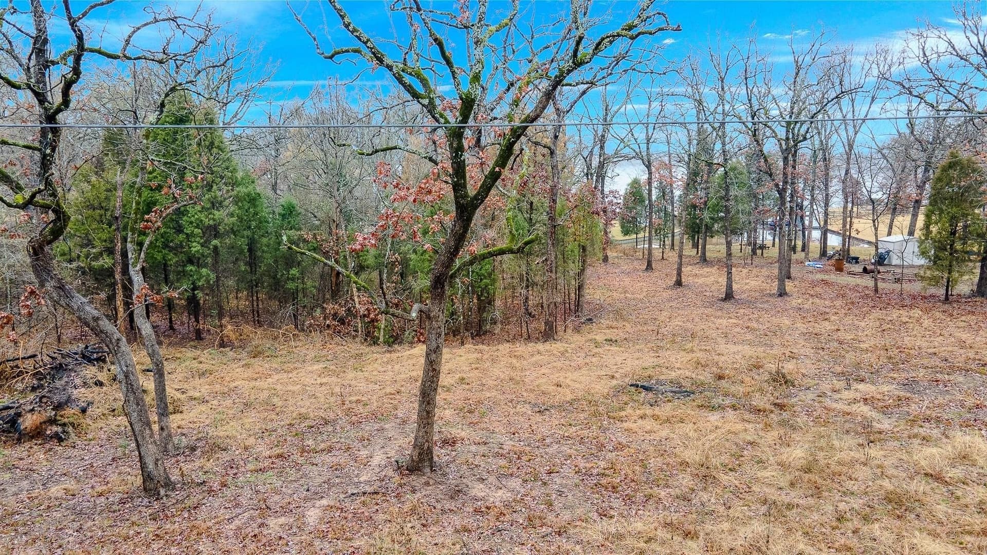 1.96 acres in Henderson County - photo 9