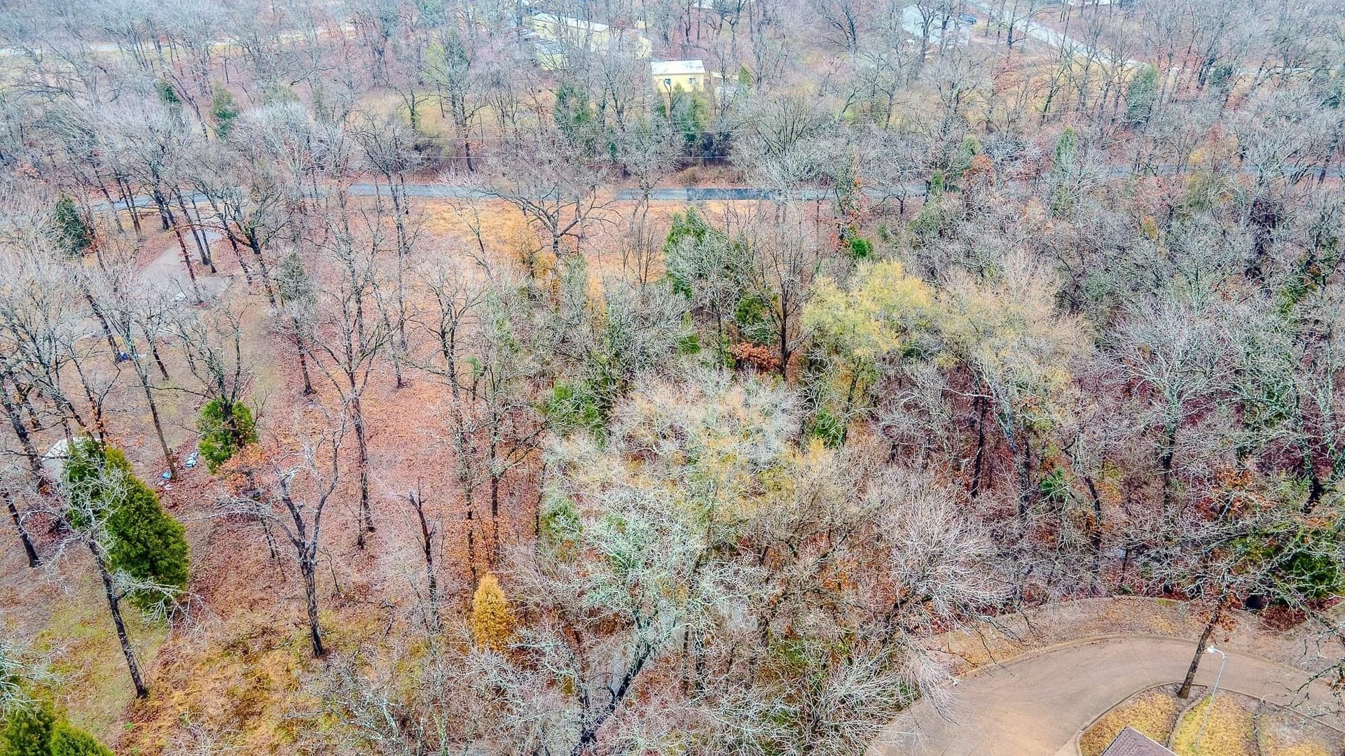 1.96 acres in Henderson County - photo 11