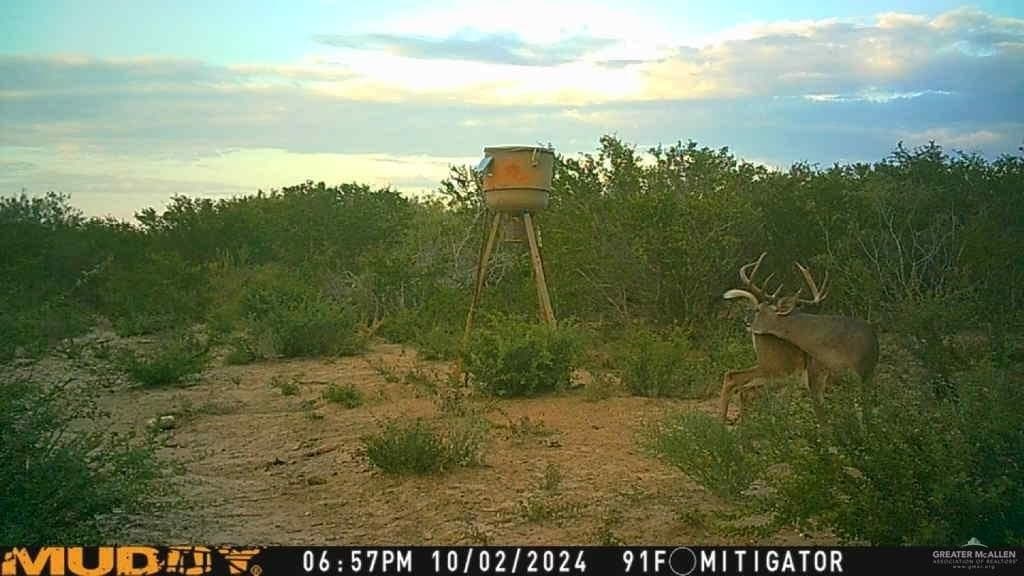 120 acres in Zapata County - photo 28