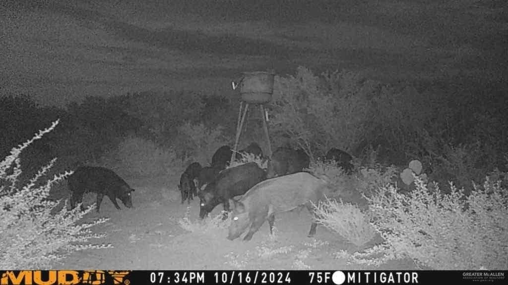 120 acres in Zapata County - photo 24
