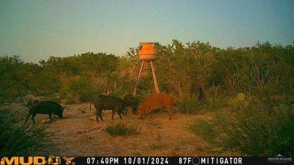 120 acres in Zapata County - photo 26