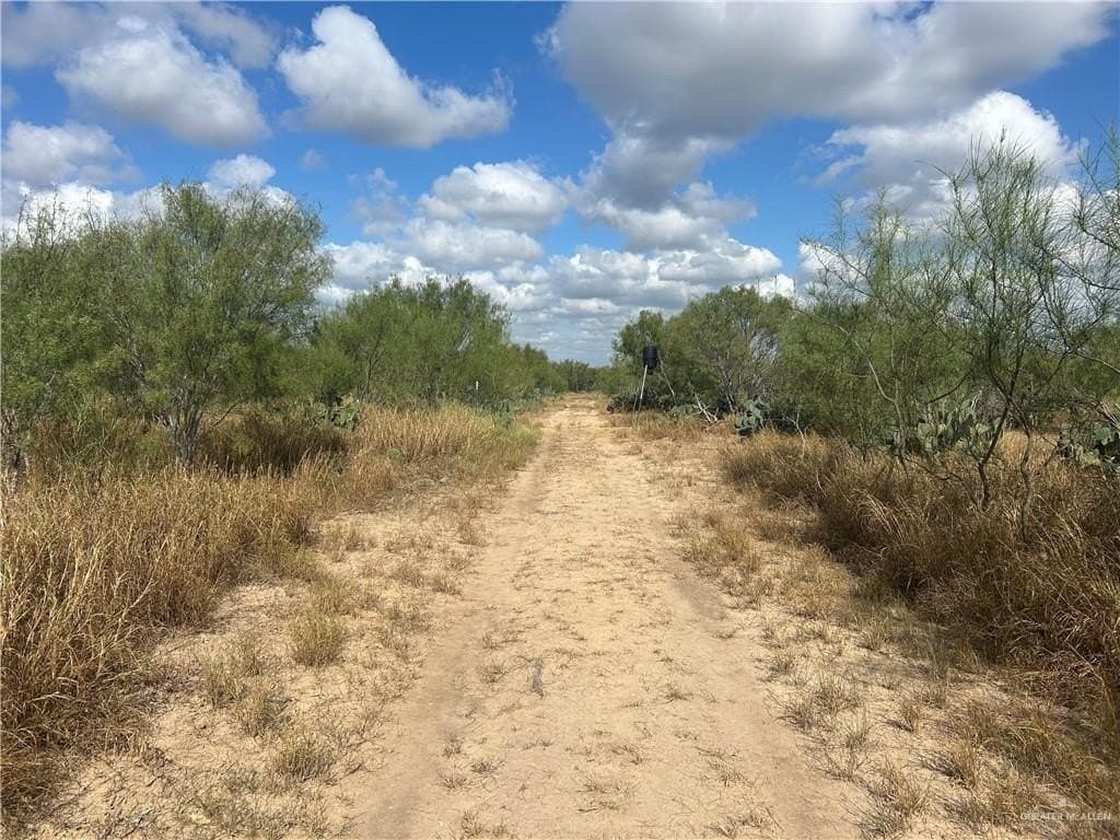 120 acres in Zapata County - photo 21