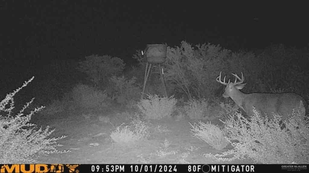 120 acres in Zapata County - photo 27
