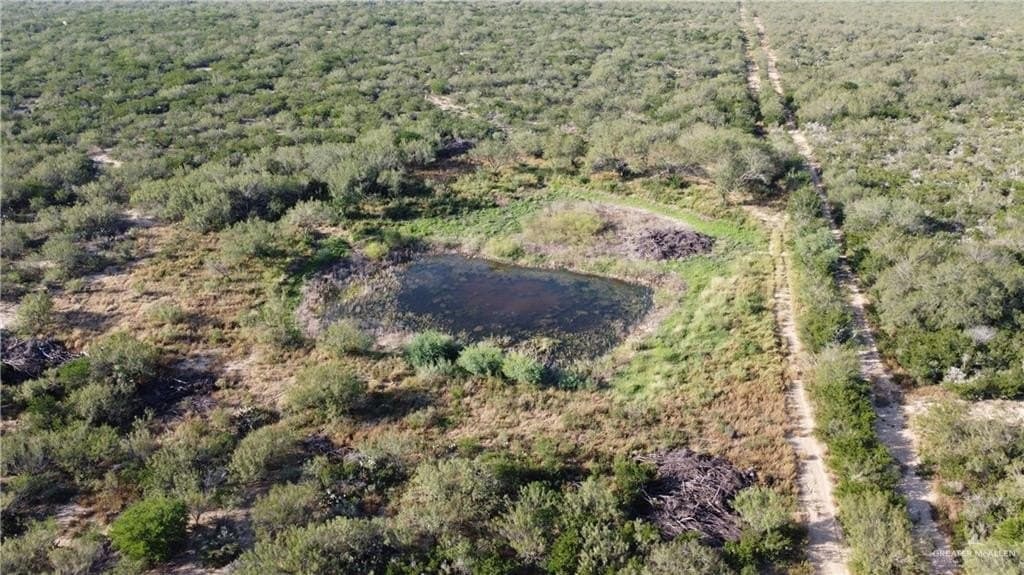 120 acres in Zapata County - photo 19